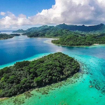 B & Bee Wild Island - Nature Song Fare Bagian luar foto