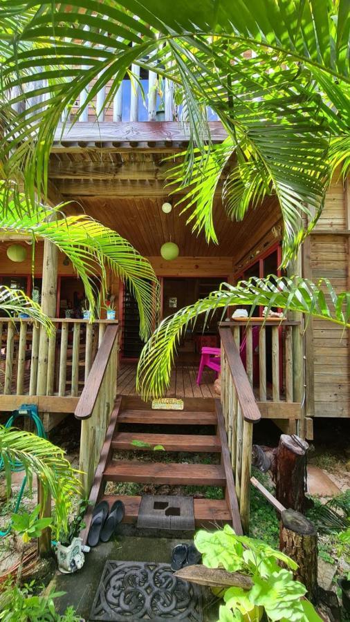 B & Bee Wild Island - Nature Song Fare Bagian luar foto