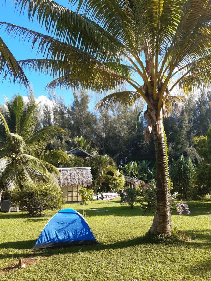 B & Bee Wild Island - Nature Song Fare Bagian luar foto