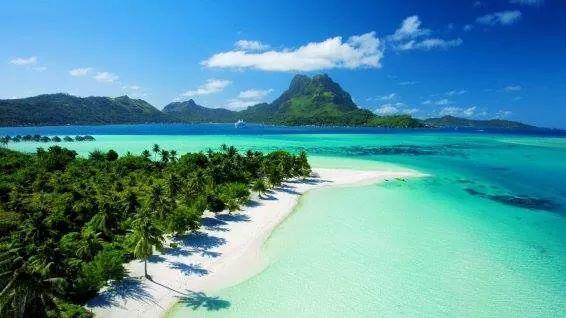 B & Bee Wild Island - Nature Song Fare Bagian luar foto
