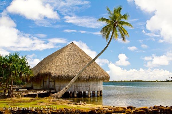 B & Bee Wild Island - Nature Song Fare Bagian luar foto