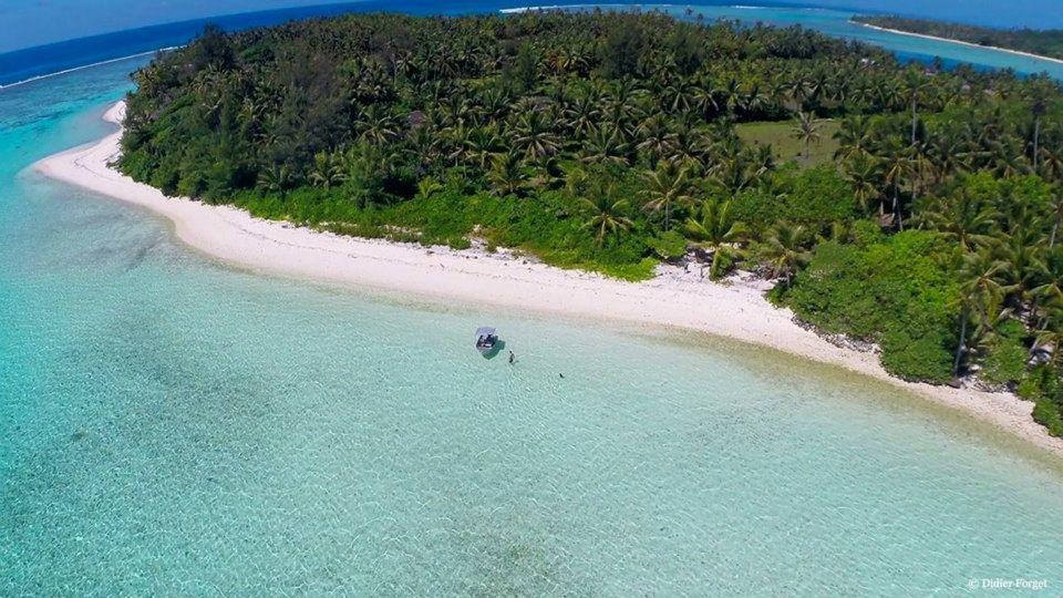 B & Bee Wild Island - Nature Song Fare Bagian luar foto