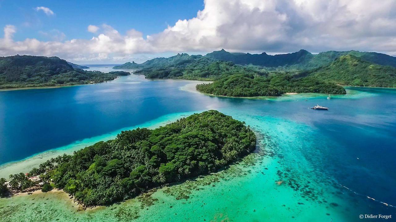 B & Bee Wild Island - Nature Song Fare Bagian luar foto